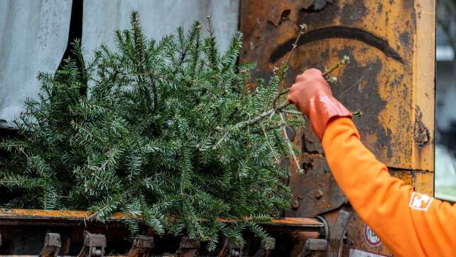 Weihnachtsbaumabholung in Hamburg: So werdet ihr euren Weihnachtsbaum los!