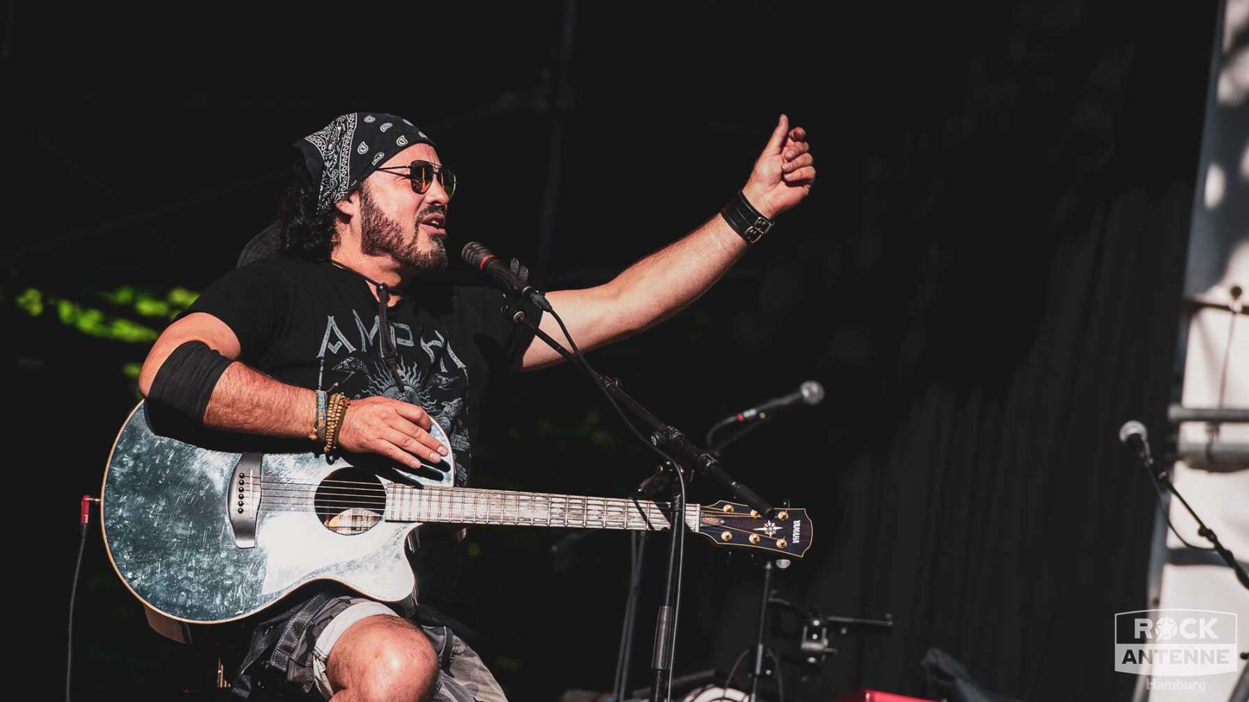 Fotos vom Konzert von Der Schulz-Band im Hamburger Stadtpark Open Air